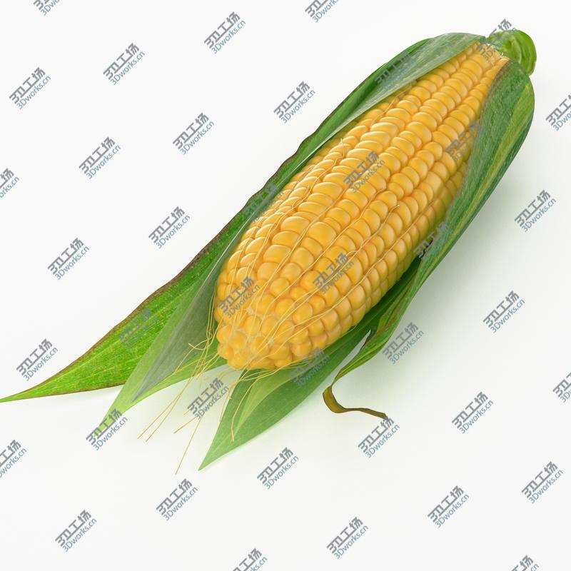 images/goods_img/2021040234/Realistic Corn/5.jpg